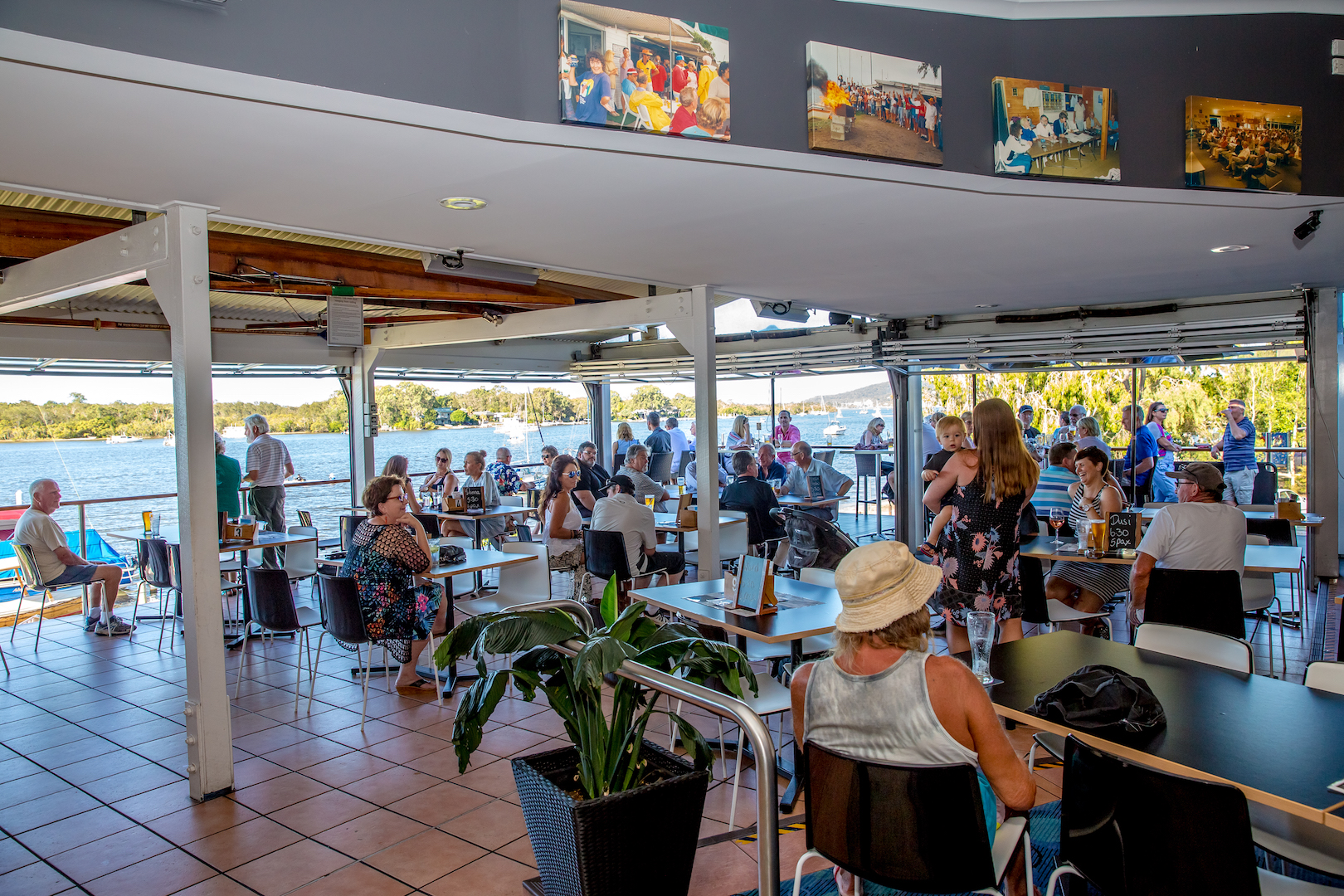 noosa yacht club membership fees